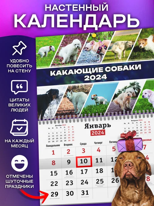 КОМБО Прикольный календарь Какающие коты 2024 год