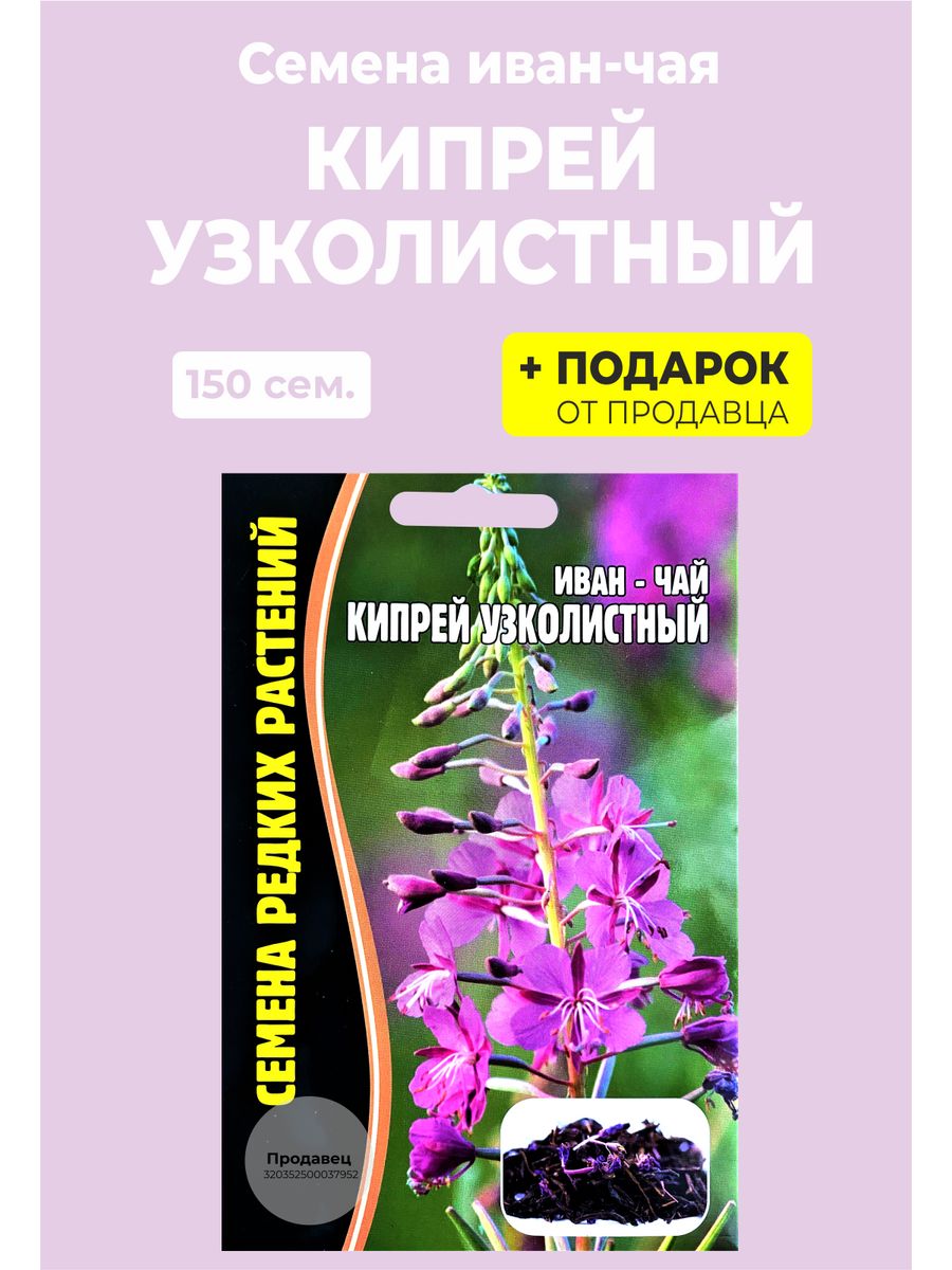 Семена Иван чай Кипрей узколистный Редкие семена 178309138 купить за 154 ₽  в интернет-магазине Wildberries