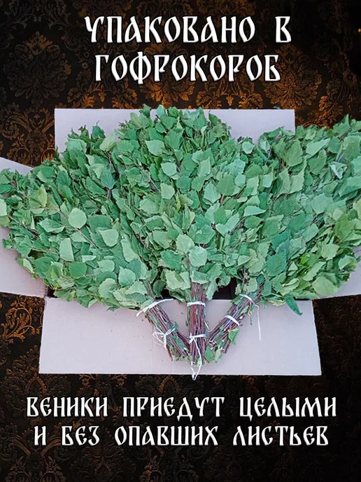 Дубовый Веник Берёзовые веники для бани из Марий Эл 2 штуки 2026, 8 шт, фото 3