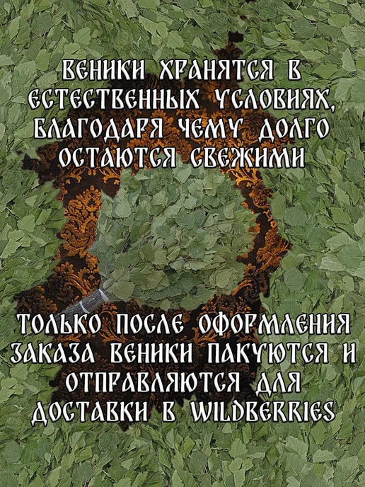 Дубовый Веник Берёзовые веники для бани из Марий Эл 2 штуки 2026, 8 шт, фото 4