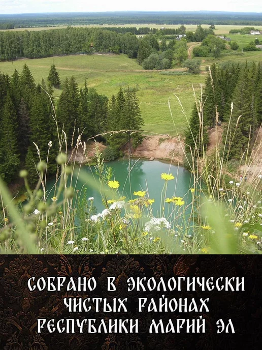 Дубовый Веник Берёзовые веники для бани из Марий Эл 2 штуки 2026, 8 шт, фото 5