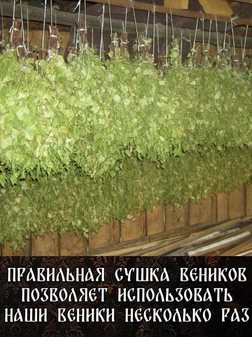 Дубовый Веник Берёзовые веники для бани из Марий Эл 2 штуки 2026, 8 шт, фото 7