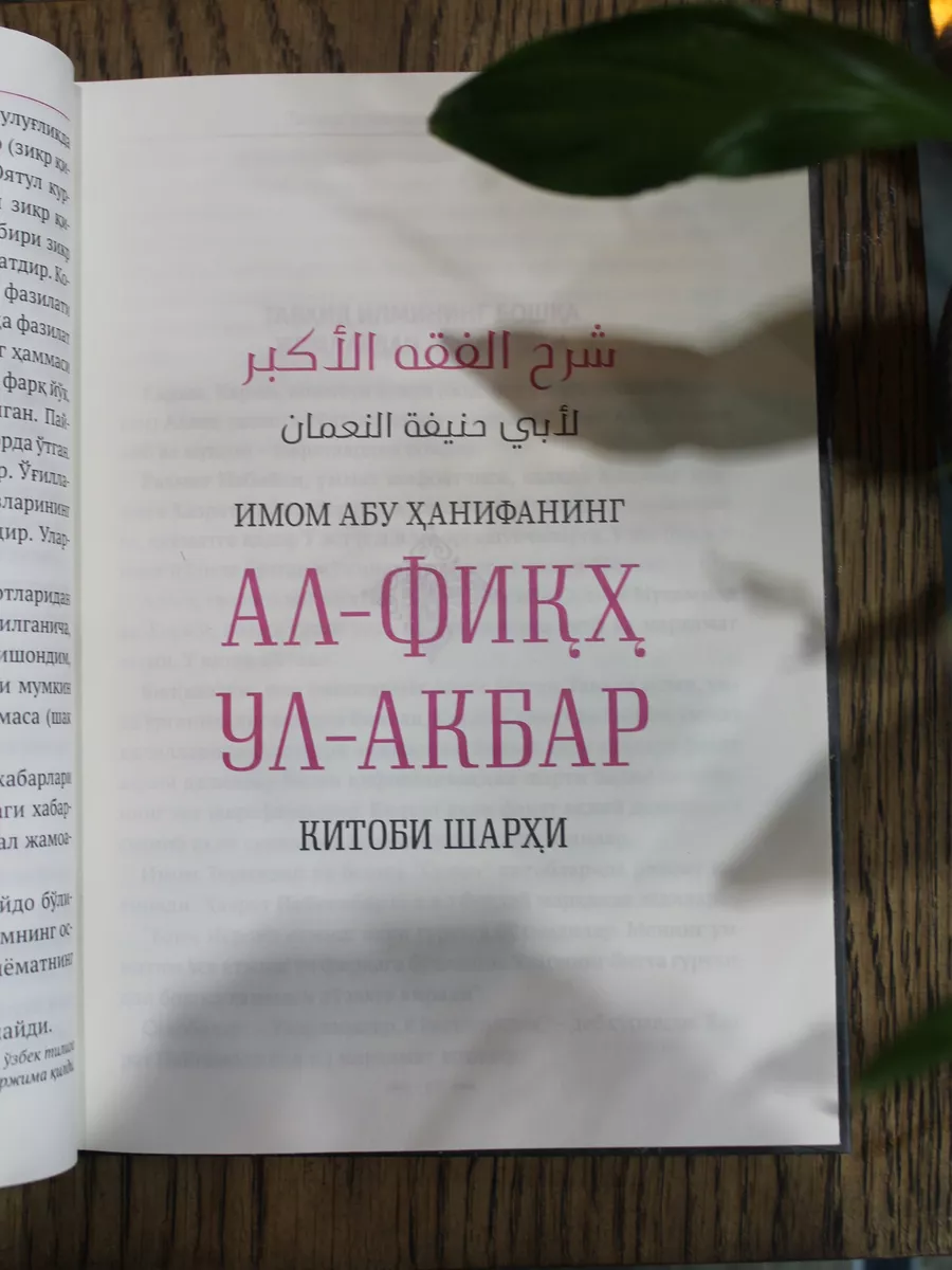 Ал-Фикх Ул-Акбар Илм Нури 178396457 купить в интернет-магазине Wildberries