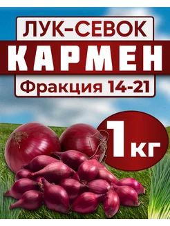 Лук севок для посадки Кармен 1кг Лук-Севок 178402126 купить за 476 ₽ в интернет-магазине Wildberries