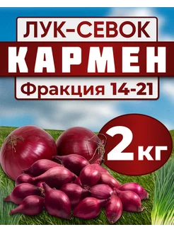 Лук севок для посадки Кармен 2кг Лук-Севок 178402127 купить за 721 ₽ в интернет-магазине Wildberries