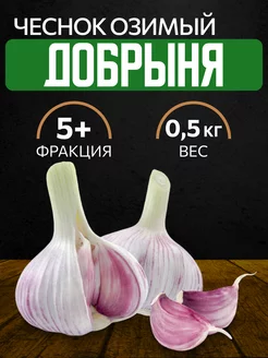 Чеснок на посадку озимый Добрыня 0.5 кг чесночок 178403716 купить за 400 ₽ в интернет-магазине Wildberries