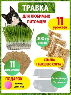 Трава для кошек. Набор для выращивания на 10 посадок GreenFood 178413431 купить за 186 ₽ в интернет-магазине Wildberries