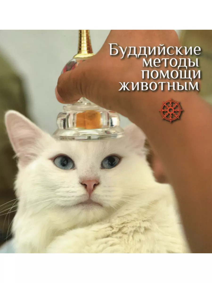 Буддийские методы помощи животным