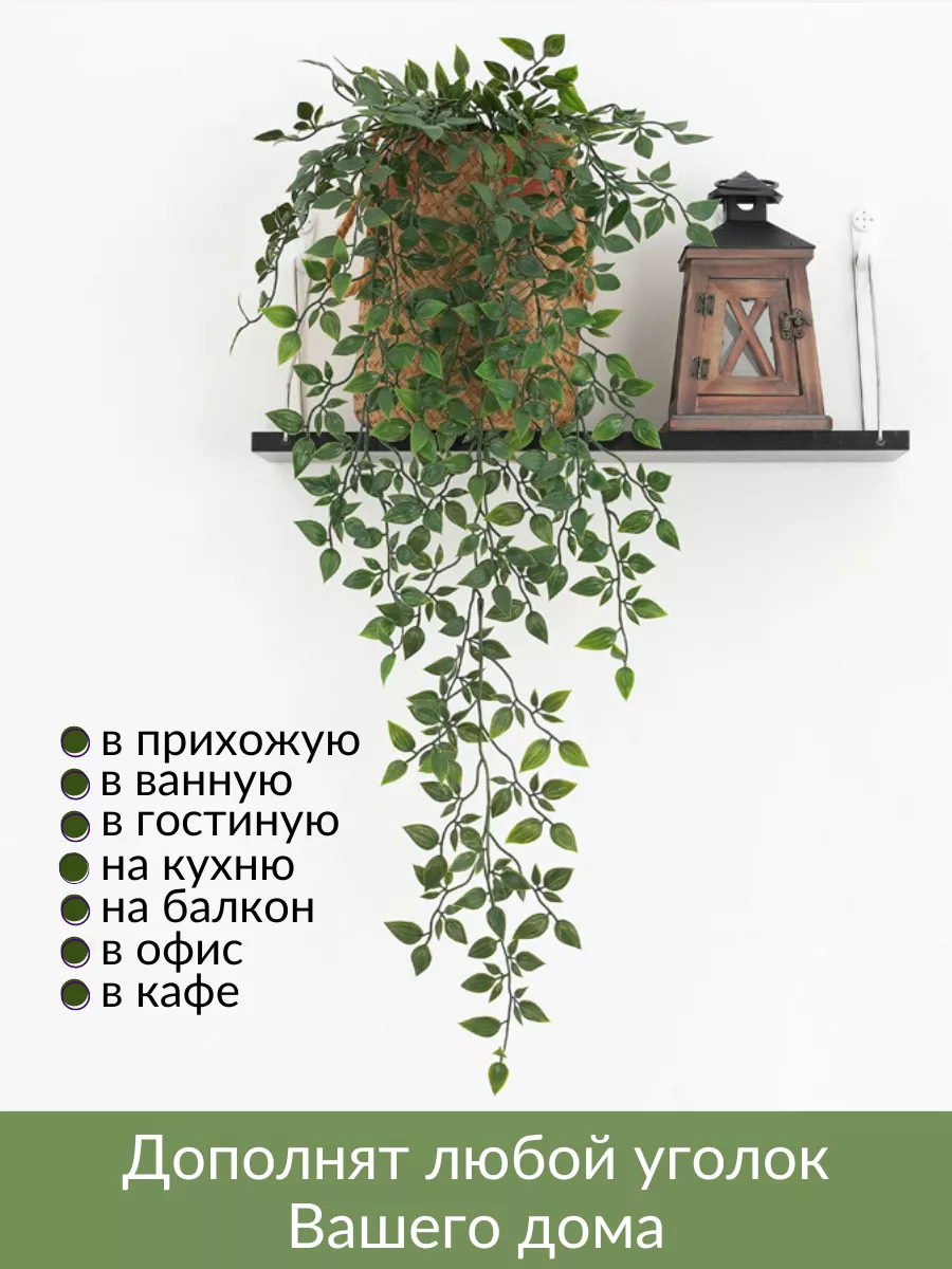 комнатные растения – новости, фото и видео женского онлайн-ресурса баштрен.рф