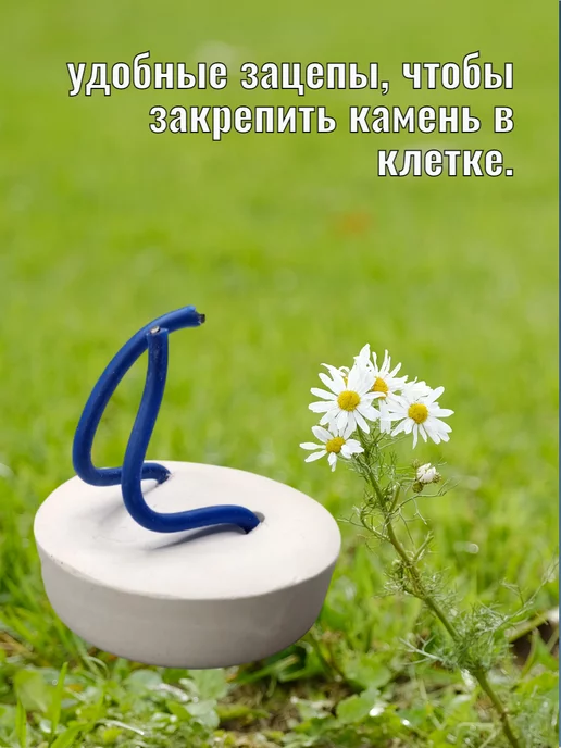 LittleShark Минеральный камень для грызунов, хомяков, вариант, фото 2