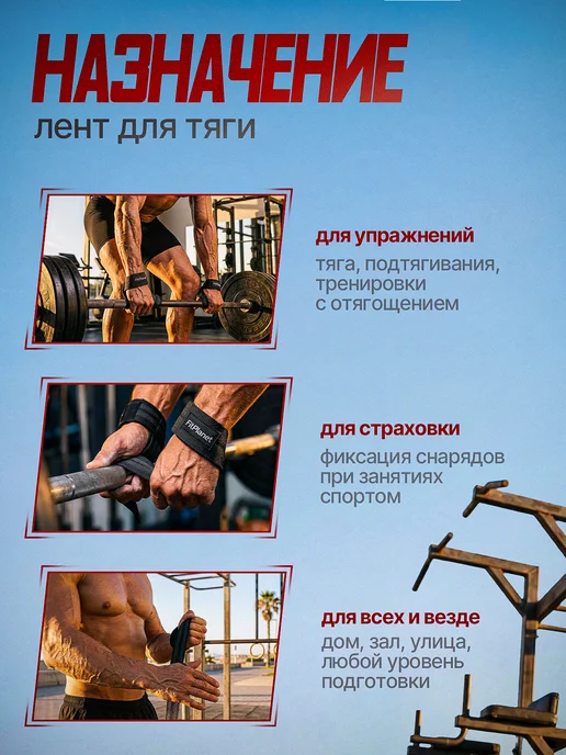 FitPlanet Лямки спортивные для становой тяги и фитнеса, черный, фото 2