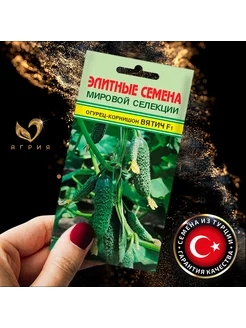 Семена Огурец Вятич Yuksel Seeds ЭЛИТНЫЕ СЕМЕНА 178518675 купить за 160 ₽ в интернет-магазине Wildberries