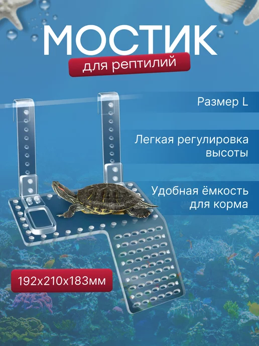 Аквариум для красноухой черепахи: устройство и оборудование