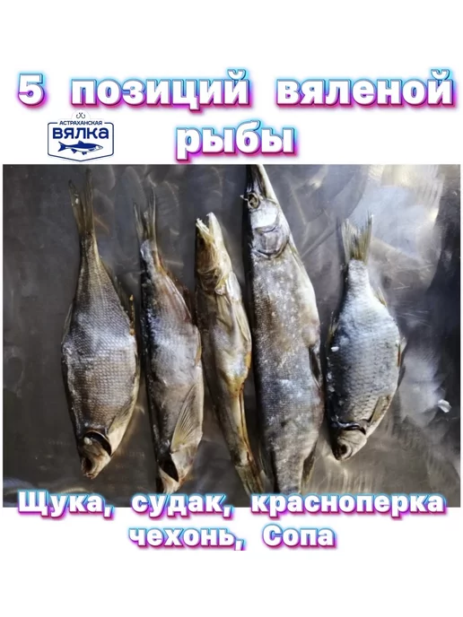 Сушилка для рыбы