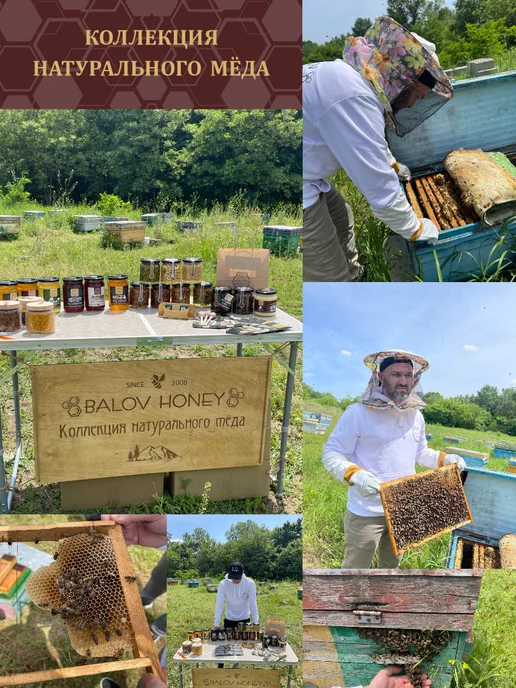 BALOV HONEY Мед натуральный Липовый кавказ 650 г сбор 2026 г, 1 кг, фото 3