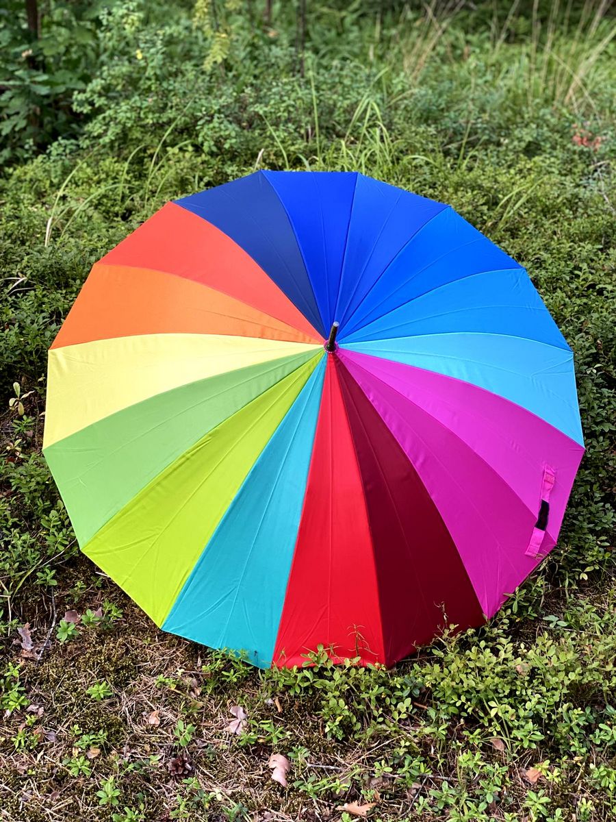 Зонт Радуга 16 спиц трость. Зонт-трость «Радуга». Радужный зонт. Зонт-трость Радужный. Зонтик собрать