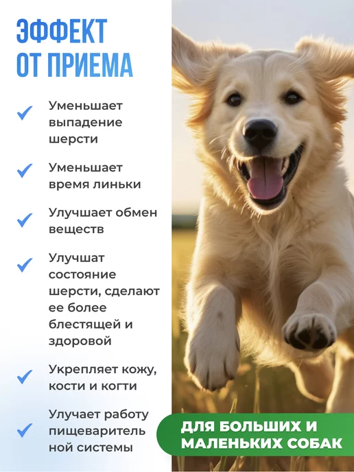 LAYTI Витамины для собак для кожи и шерсти, вариант, фото 2