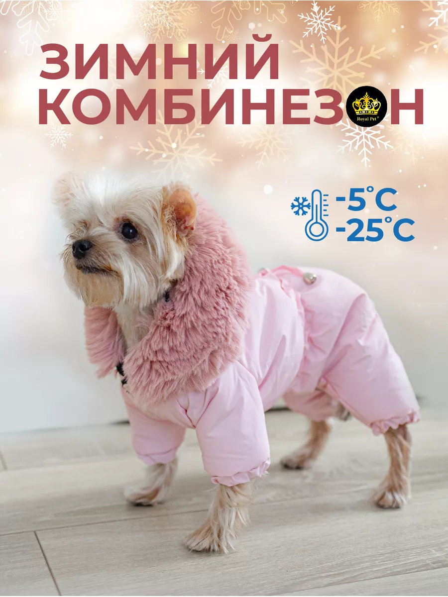 Комбинезон зимний для мелких пород животных Royal Pet 178692058 купить за 1  888 ₽ в интернет-магазине Wildberries