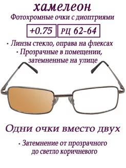 Очки с диоптриями Хамелеон, РЦ 62-64 мм,+1,0 МОСТ 178790456 купить за 602 ₽ в интернет-магазине Wildberries