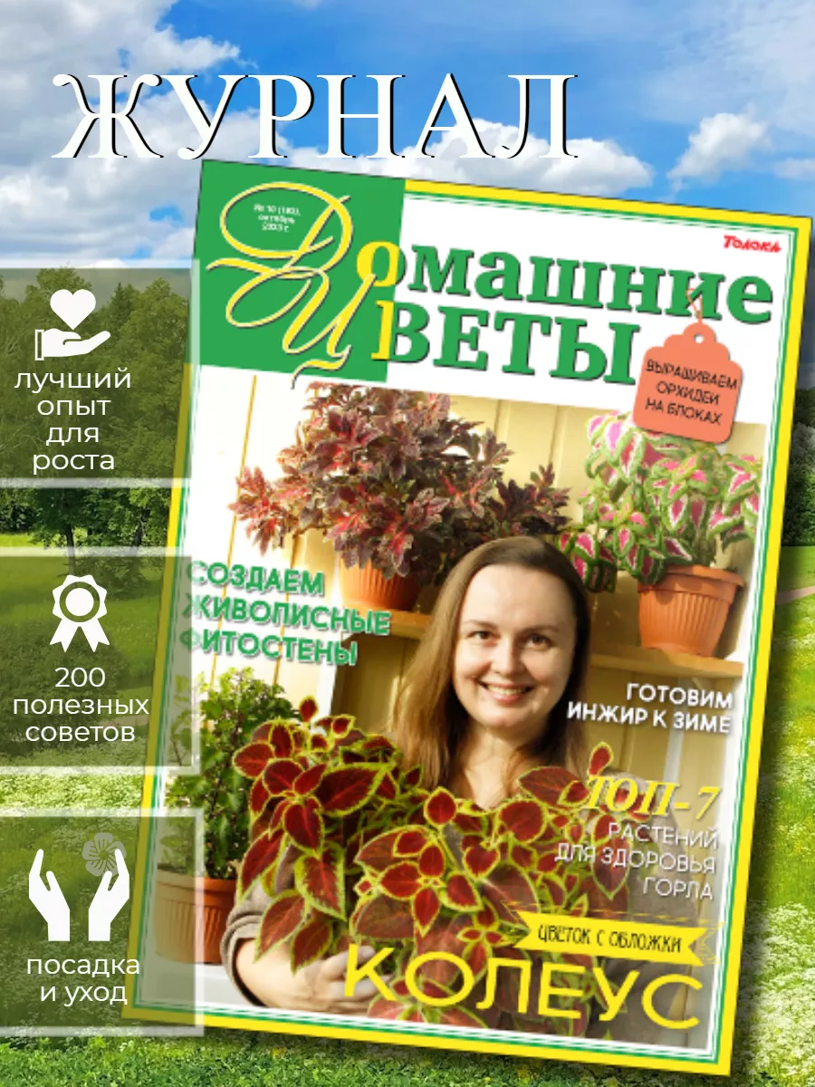 КРУТОМЕР | ОНЛАЙН ЖУРНАЛ | Моей маме сегодня подариле цветы на улице | Дзен