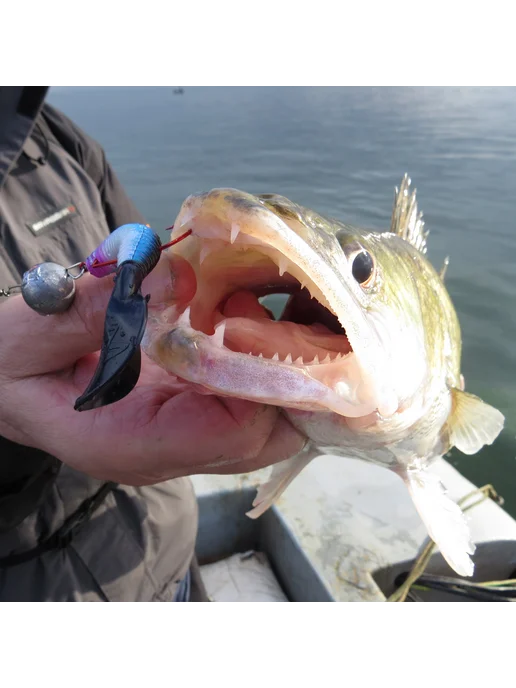 WAKE-Fishing Приманка силиконовая GRUB ANIS 4.5" #BLOODSCALES 150, серый, фото 2