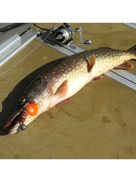 WAKE-Fishing Приманка силиконовая GRUB ANIS 4.5" #BLOODSCALES 150, серый, фото 3