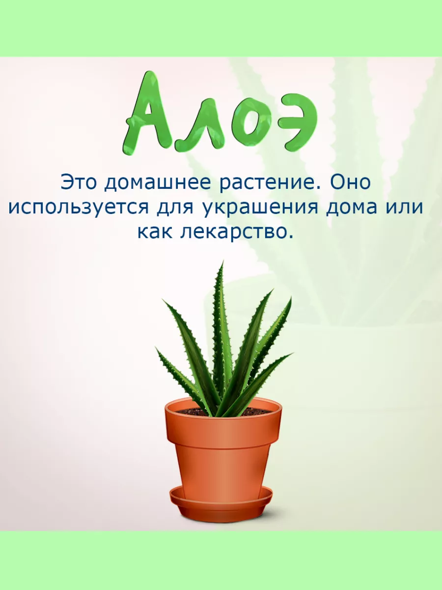 Лечебное алоэ Вера (Aloe vera) комнатное растение Flower House 178895556  купить в интернет-магазине Wildberries