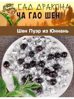 Шен Пуэр Ча Гао, 25гр Сад Дракона 178901645 купить за 239 ₽ в интернет-магазине Wildberries