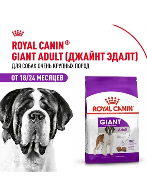 Сухой корм Royal canin Размеров для собак, взрослые, крупные, 15 кг, фото 3