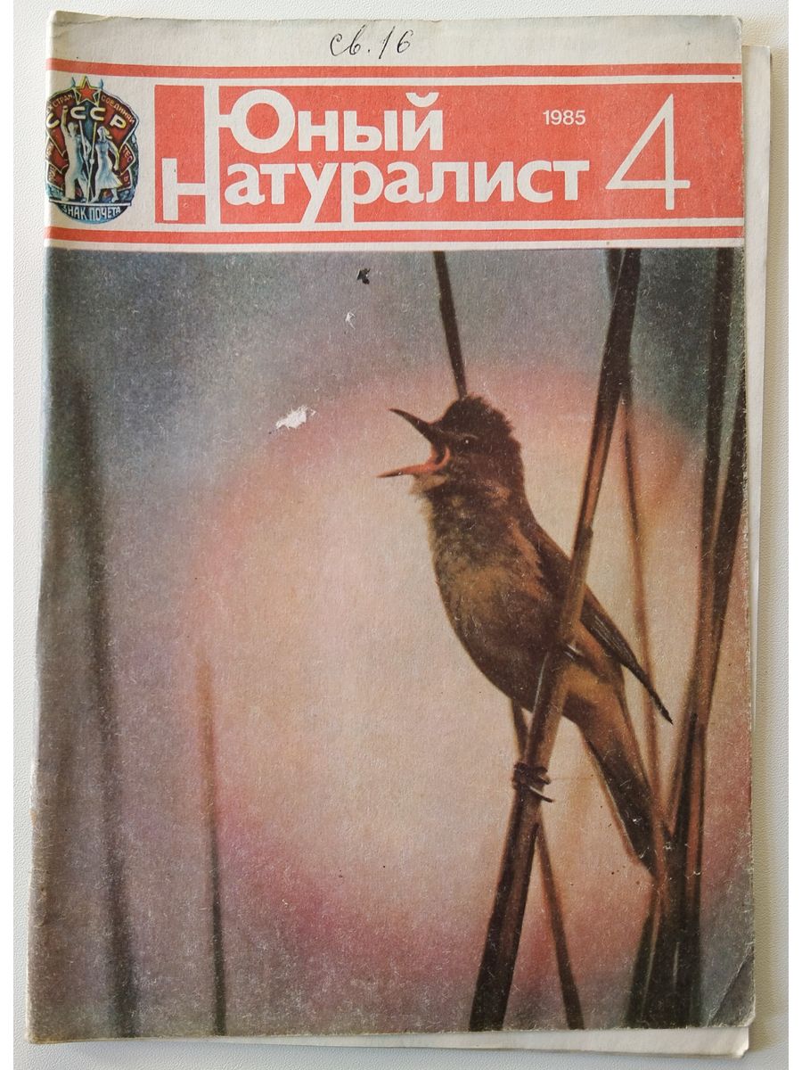 Vintage характеристики. Кольцо жизни Козлов книга. С Козлов жизнь. Кольцо жизни книга Михаил Козлов. Кольцо жизни | Козлов Михаил 1998 год.