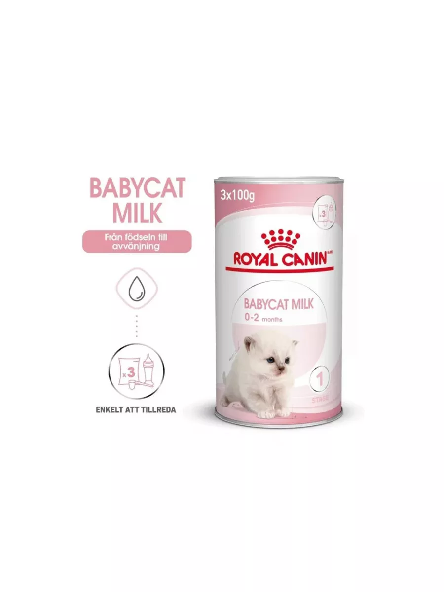 Сухая молочная смесь для котят Babycat Milk, 300 г ROYAL CANIN 178971075  купить в интернет-магазине Wildberries