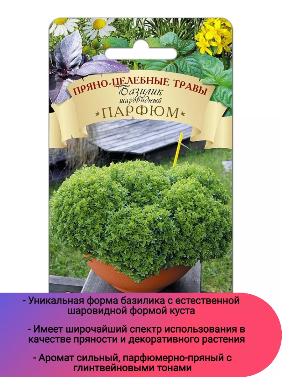 Семена/ Базилик шаровидный Парфюм Биотехника 179035946 купить в  интернет-магазине Wildberries