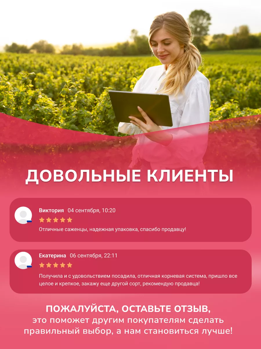 Жимолость Бакчарский великан Garden Seasons 179070364 купить в  интернет-магазине Wildberries