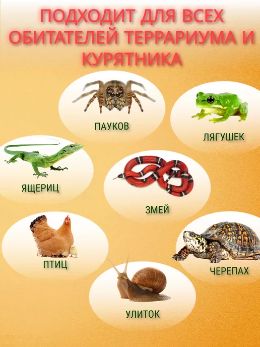 Лампа для террариума Керамическая лампа для обогрева курятника, рептилий, черепах, черный, фото 3