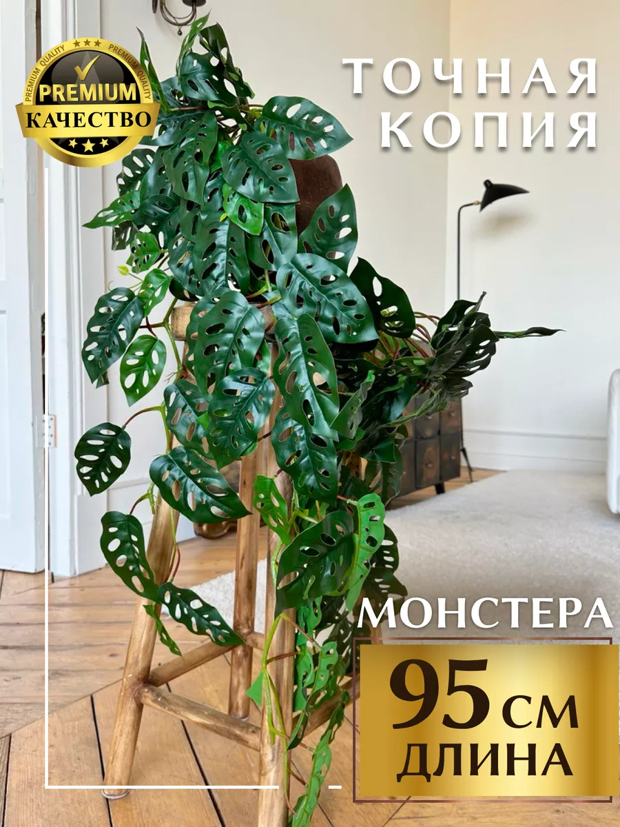 Лиана монстера для декора свисающая MintOnly 179131638 купить за 1 087 ₽ в  интернет-магазине Wildberries