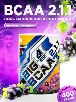 Bcaa порошок 2-1-1 аминокислоты комплексные для спорта BIG. 179180533 купить за 951 ₽ в интернет-магазине Wildberries