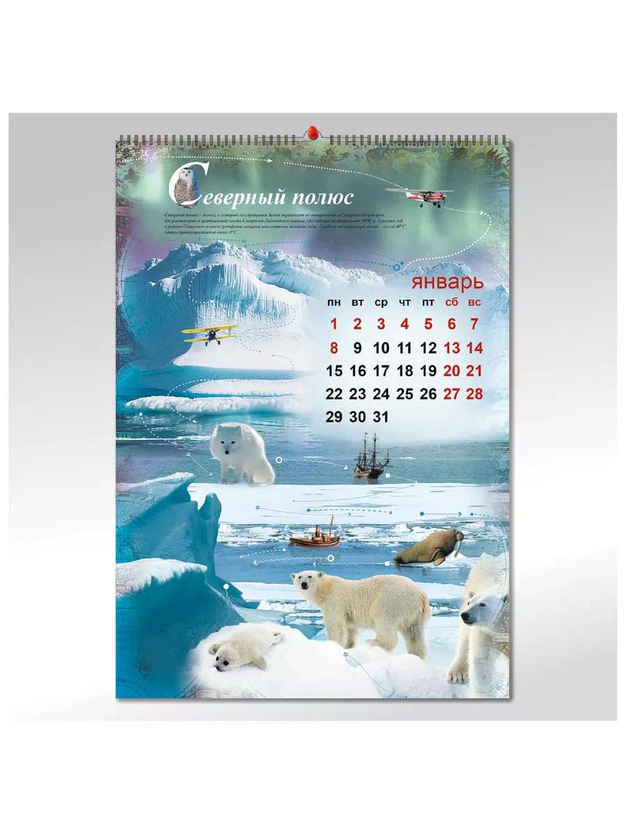 Арткалендарь Календарь перекидной А2 на 2024 год Вокруг Света