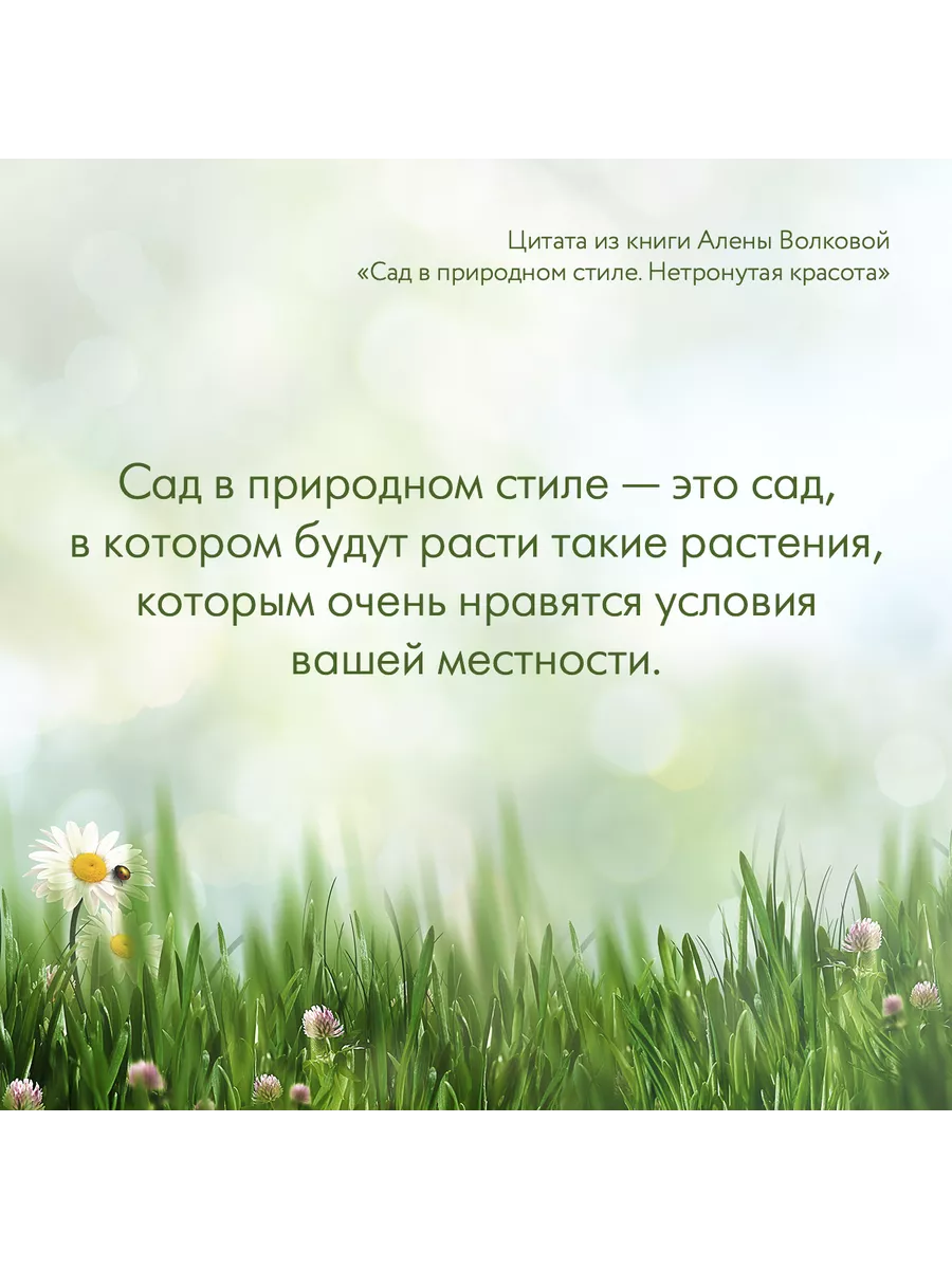 Сад в природном стиле. Нетронутая красота Издательство АСТ 179355732 купить  за 1 132 ₽ в интернет-магазине Wildberries