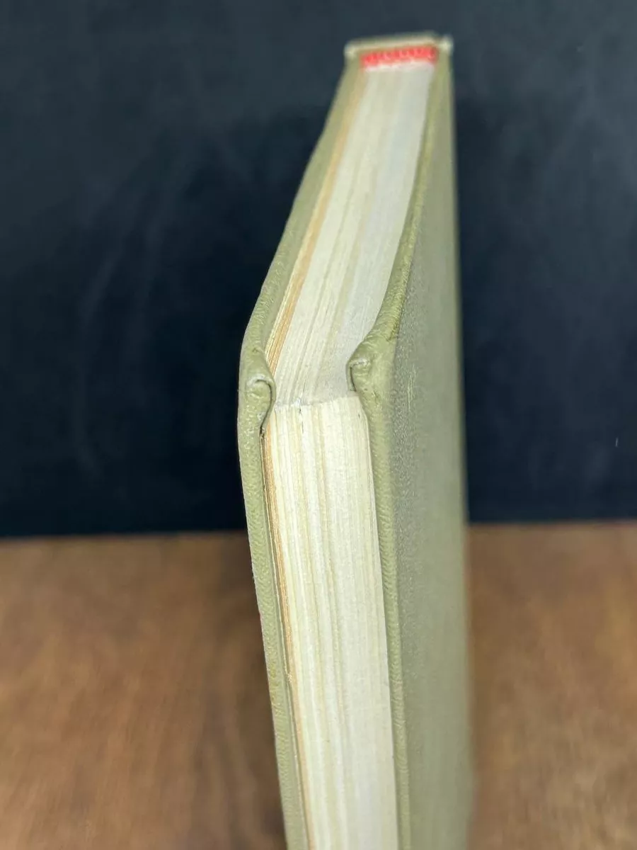 Фото 3