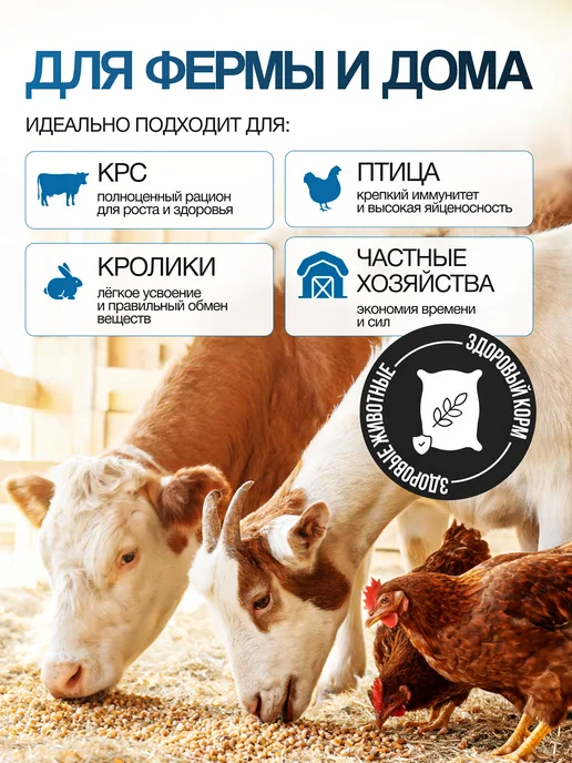 BRAIT Зернодробилка электрическая для зерна кормоизмельчитель, вариант, фото 5