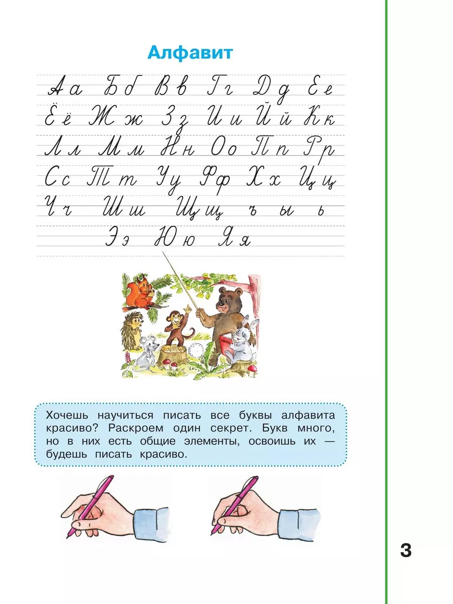 Климанова Мой алфавит. Прописи 1 клас Просвещение Шлейф 179430977 купить за  412 ₽ в интернет-магазине Wildberries