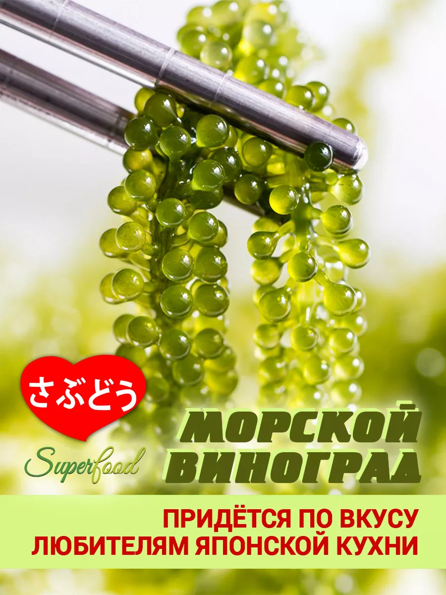 Морской виноград пищевой Уми Будо 100 гр SUPERFOOD купить по цене 535 ...