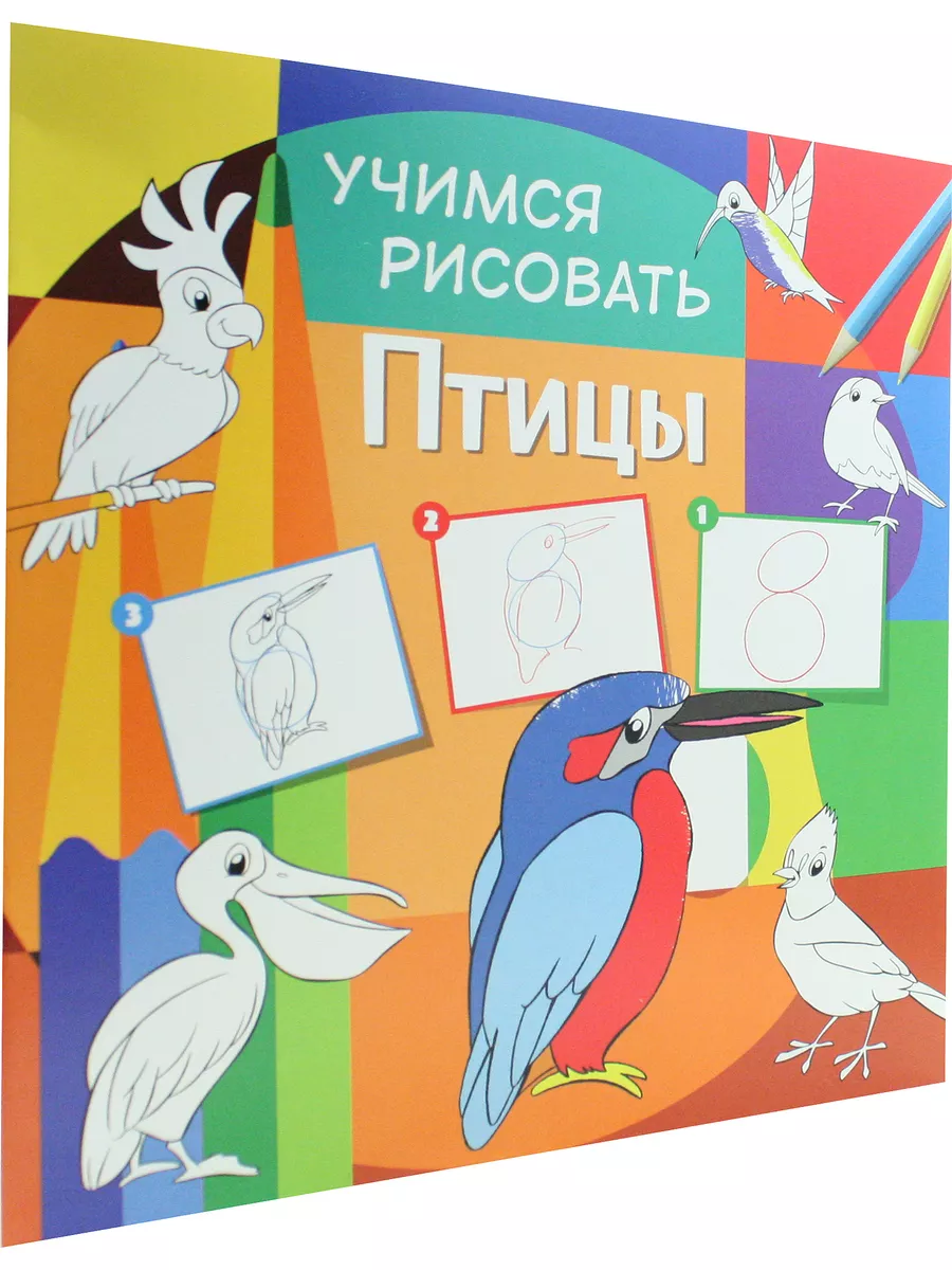 Учимся рисовать. Птицы
