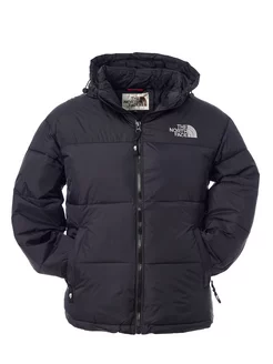 Куртка мужская осенняя, зимняя одежда The North Face 179516920 купить за 4 118 ₽ в интернет-магазине Wildberries