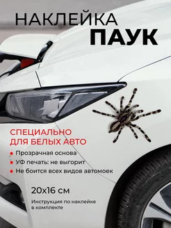 Наклейка автомобильная Живой паук Концепт НН 179529994 купить за 207 ₽ в интернет-магазине Wildberries