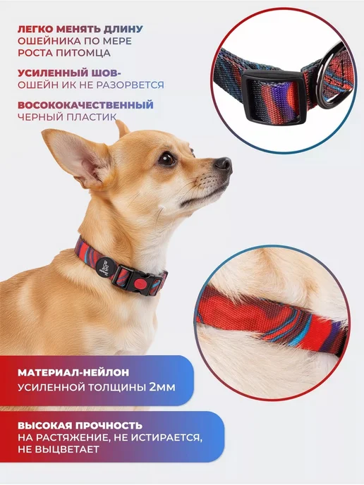 MiAmorPETS Ошейник для собак нейлоновый, синий, фото 2