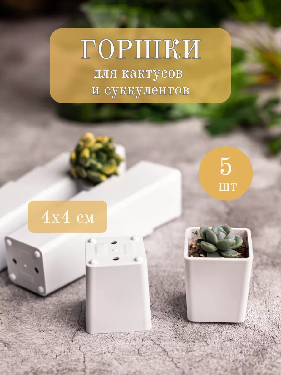 Цветочные маленькие горшки для кактус и суккулентов черенки Garden Emili  179555416 купить за 192 ₽ в интернет-магазине Wildberries