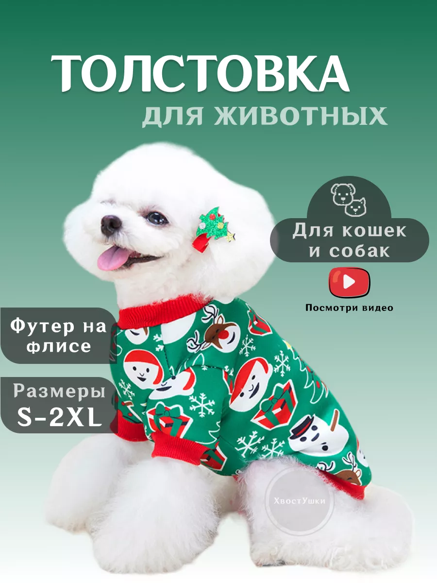 Пошив одежды для собак видео