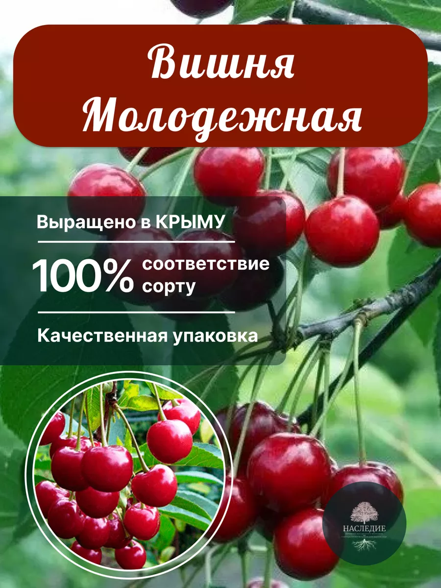 Ответы mnogomasterov.ru: Я хочу засунуть свой член по самые яйца в анус подруге . Это нормально ?