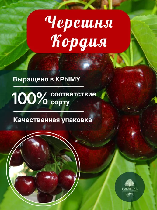 Особенности и отличительные черты сорта